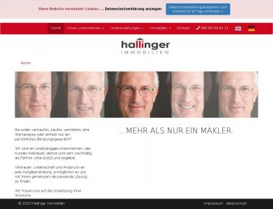 www.hallingerimmobilien.de
