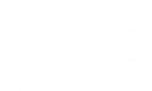 www.kantconsult.de
